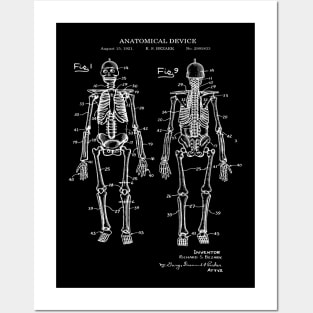 Anatomical Human Skeleton Patent Print 1921 Posters and Art